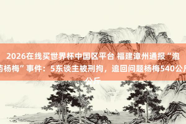 2026在线买世界杯中国区平台 福建漳州通报“泡药杨梅”事件:5东谈主被刑拘,追回问题杨梅540公斤