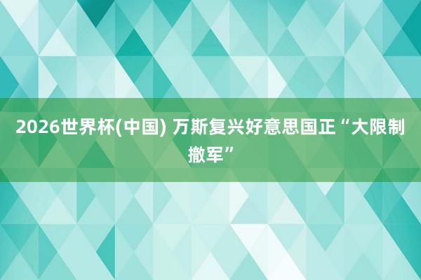 2026世界杯(中国) 万斯复兴好意思国正“大限制撤军”