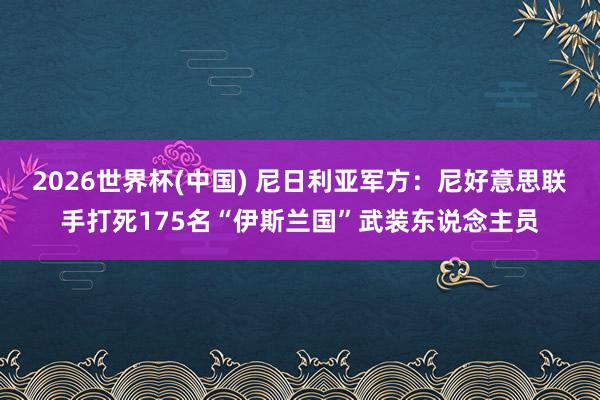2026世界杯(中国) 尼日利亚军方：尼好意思联手打死175名“伊斯兰国”武装东说念主员