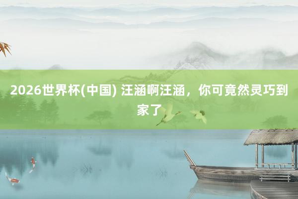 2026世界杯(中国) 汪涵啊汪涵，你可竟然灵巧到家了