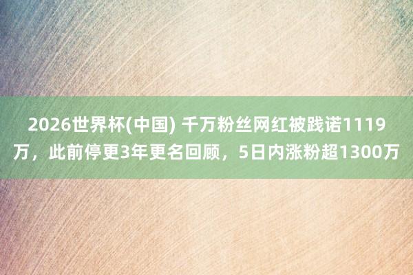 2026世界杯(中国) 千万粉丝网红被践诺1119万,此前停更3年更名回顾,5日内涨粉超1300万