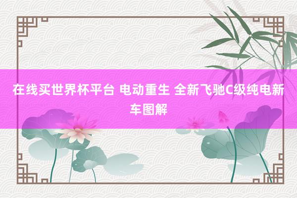 在线买世界杯平台 电动重生 全新飞驰C级纯电新车图解