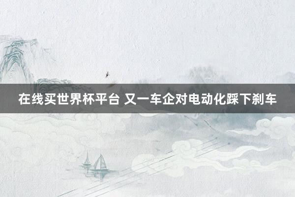 在线买世界杯平台 又一车企对电动化踩下刹车