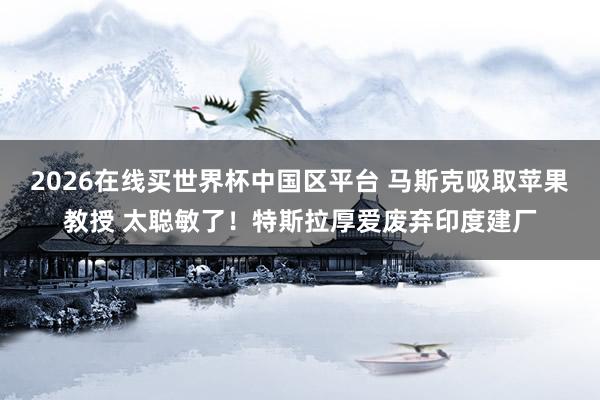 2026在线买世界杯中国区平台 马斯克吸取苹果教授 太聪敏了！特斯拉厚爱废弃印度建厂