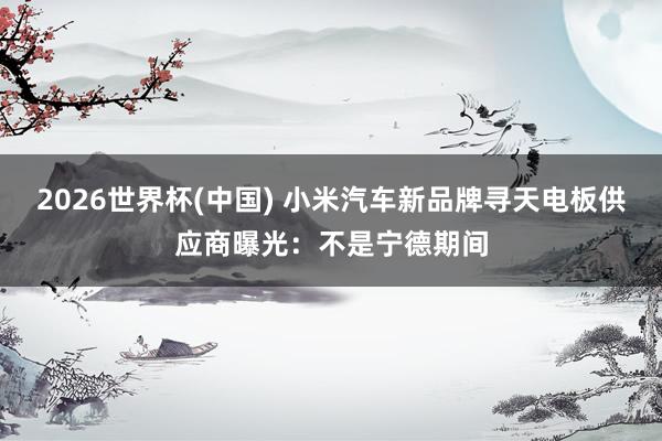 2026世界杯(中国) 小米汽车新品牌寻天电板供应商曝光：不是宁德期间
