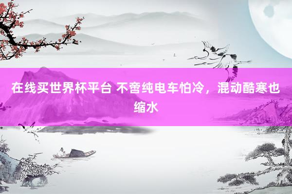 在线买世界杯平台 不啻纯电车怕冷，混动酷寒也缩水