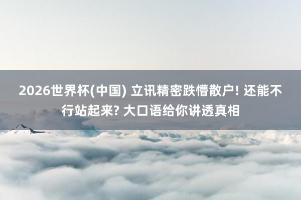 2026世界杯(中国) 立讯精密跌懵散户! 还能不行站起来? 大口语给你讲透真相