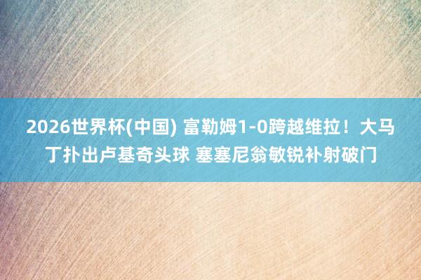 2026世界杯(中国) 富勒姆1-0跨越维拉!大马丁扑出卢基奇头球 塞塞尼翁敏锐补射破门