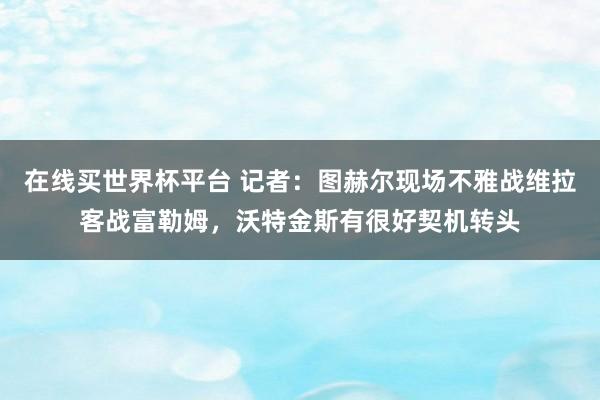 在线买世界杯平台 记者:图赫尔现场不雅战维拉客战富勒姆,沃特金斯有很好契机转头