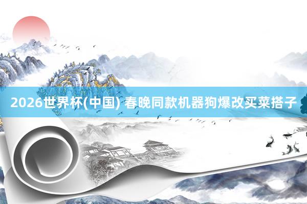 2026世界杯(中国) 春晚同款机器狗爆改买菜搭子