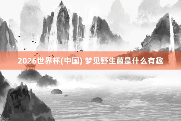 2026世界杯(中国) 梦见野生菌是什么有趣