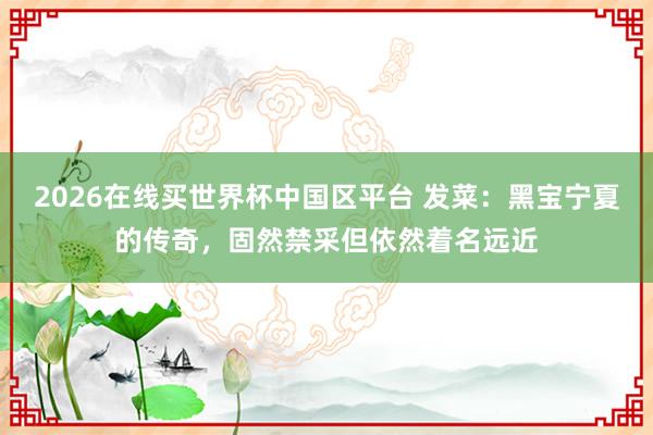 2026在线买世界杯中国区平台 发菜:黑宝宁夏的传奇,固然禁采但依然着名远近