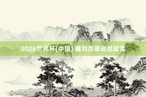 2026世界杯(中国) 曝刘亦菲进组咸雪