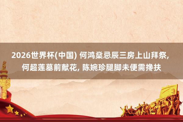 2026世界杯(中国) 何鸿燊忌辰三房上山拜祭, 何超莲墓前献花, 陈婉珍腿脚未便需搀扶