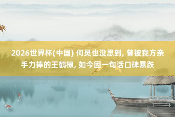 2026世界杯(中国) 何炅也没思到, 曾被我方亲手力捧的王鹤棣, 如今因一句话口碑暴跌