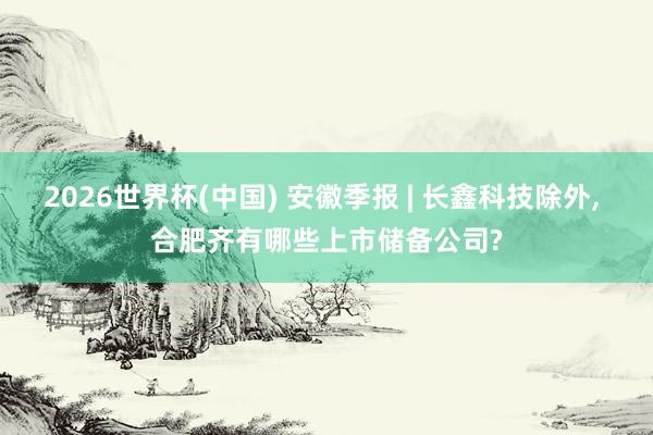 2026世界杯(中国) 安徽季报 | 长鑫科技除外, 合肥齐有哪些上市储备公司?