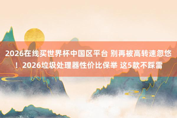 2026在线买世界杯中国区平台 别再被高转速忽悠!2026垃圾处理器性价比保举 这5款不踩雷