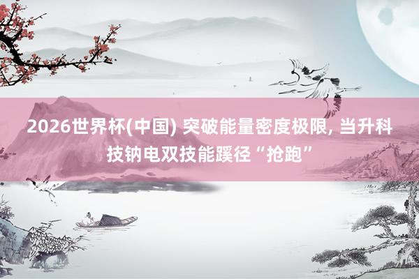 2026世界杯(中国) 突破能量密度极限， 当升科技钠电双技能蹊径“抢跑”