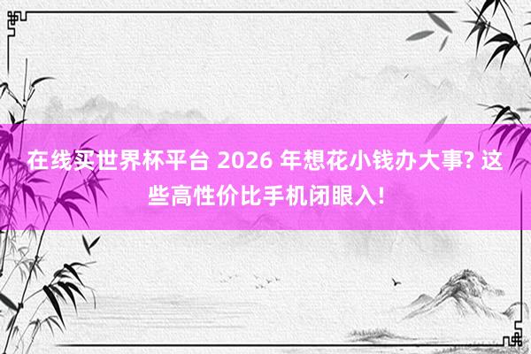 在线买世界杯平台 2026 年想花小钱办大事? 这些高性价比手机闭眼入!