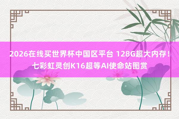 2026在线买世界杯中国区平台 128G超大内存!七彩虹灵创K16超等AI使命站图赏