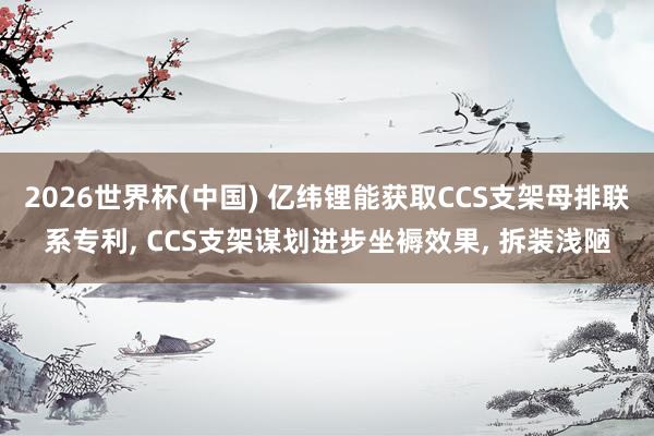 2026世界杯(中国) 亿纬锂能获取CCS支架母排联系专利, CCS支架谋划进步坐褥效果, 拆装浅陋