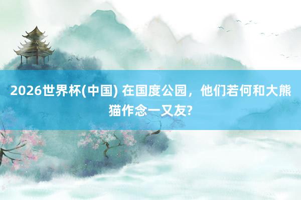 2026世界杯(中国) 在国度公园,他们若何和大熊猫作念一又友?