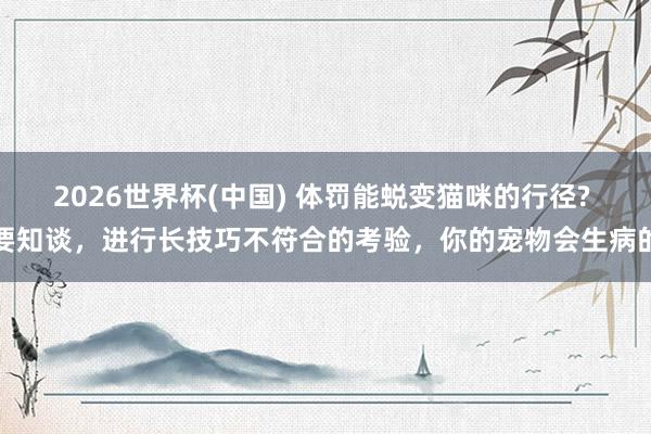 2026世界杯(中国) 体罚能蜕变猫咪的行径? 要知谈,进行长技巧不符合的考验,你的宠物会生病的