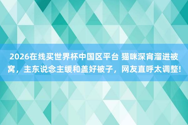 2026在线买世界杯中国区平台 猫咪深宵溜进被窝,主东说念主缓和盖好被子,网友直呼太调整!