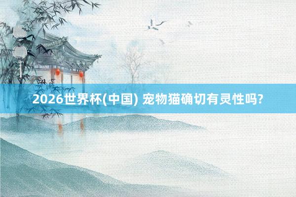 2026世界杯(中国) 宠物猫确切有灵性吗?