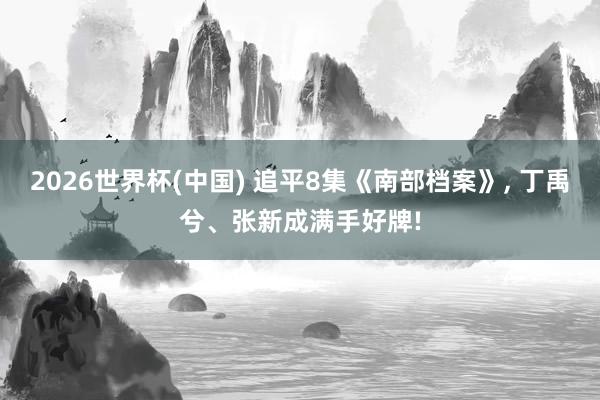 2026世界杯(中国) 追平8集《南部档案》, 丁禹兮、张新成满手好牌!
