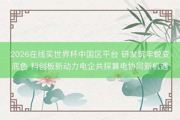 2026在线买世界杯中国区平台 研发筑牢蜕变底色 科创板新动力电企共探算电协同新机遇