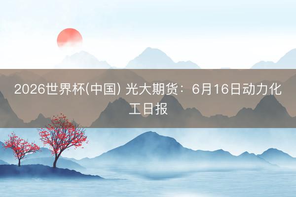 2026世界杯(中国) 光大期货:6月16日动力化工日报