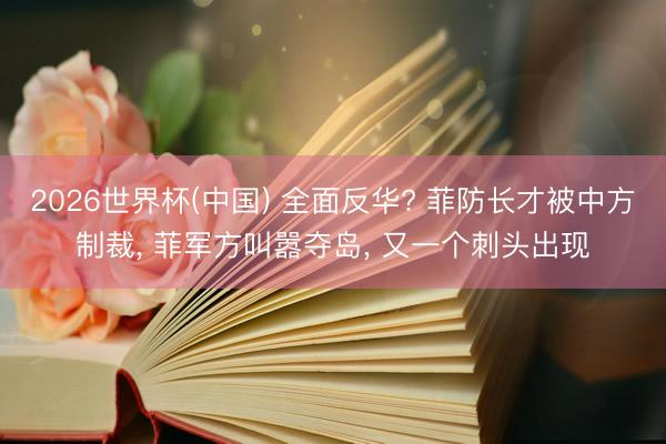 2026世界杯(中国) 全面反华? 菲防长才被中方制裁, 菲军方叫嚣夺岛, 又一个刺头出现