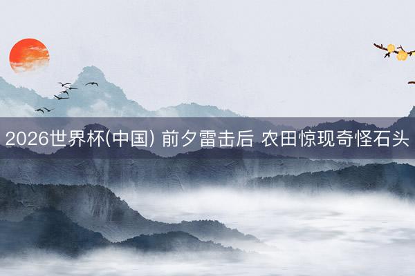 2026世界杯(中国) 前夕雷击后 农田惊现奇怪石头