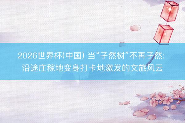 2026世界杯(中国) 当“孑然树”不再孑然: 沿途庄稼地变身打卡地激发的文旅风云