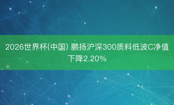 2026世界杯(中国) 鹏扬沪深300质料低波C净值下降2.20%