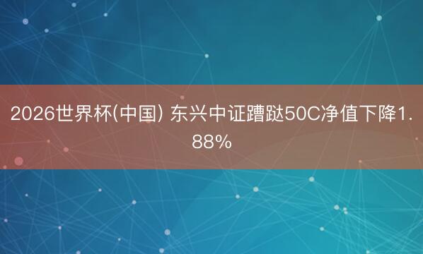 2026世界杯(中国) 东兴中证蹧跶50C净值下降1.88%